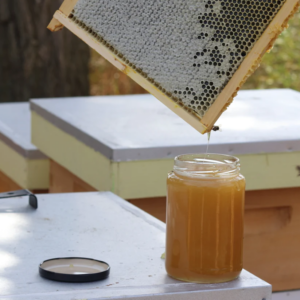 Exceptional Raw Special Honey